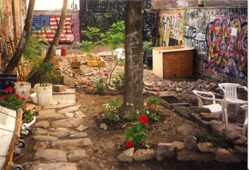 ABC No Rio Backyard